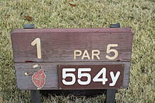 奈良国際ゴルフ倶楽部 NO1 ホール-1