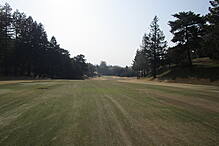 奈良国際ゴルフ倶楽部 NO1 ホール-2