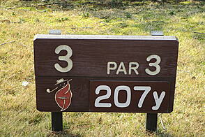 奈良国際ゴルフ倶楽部 NO3 ホール-1