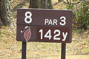 奈良国際ゴルフ倶楽部 NO8 ホール-1