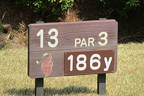 奈良国際ゴルフ倶楽部 NO13 ホール-1