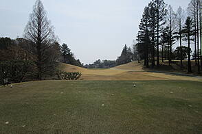 奈良国際ゴルフ倶楽部 NO14 ホール-2