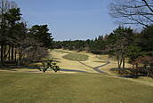奈良国際ゴルフ倶楽部 NO15 ホール-2