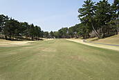 奈良国際ゴルフ倶楽部 NO15 ホール-3