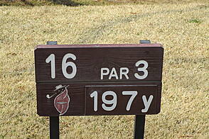 奈良国際ゴルフ倶楽部 NO16 ホール-1