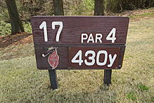 奈良国際ゴルフ倶楽部 NO17 ホール-1