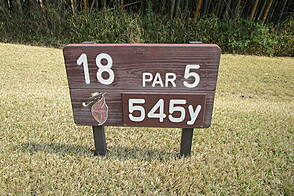 奈良国際ゴルフ倶楽部 NO18 ホール-1