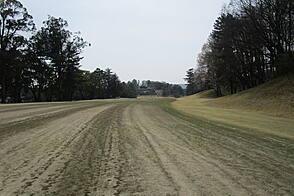 奈良国際ゴルフ倶楽部 NO18 ホール-3