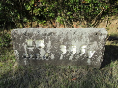 玉造温泉カントリークラブ 49 /