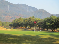 茜ゴルフクラブ 5 /