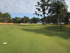 茜ゴルフクラブ 16 /