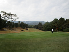 茜ゴルフクラブ 39 /