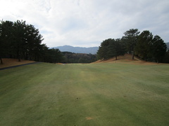 茜ゴルフクラブ 43 /