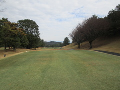 茜ゴルフクラブ 50 /