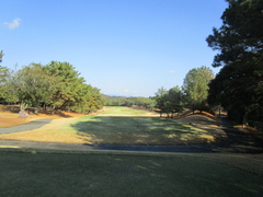 茜ゴルフクラブ 8 /