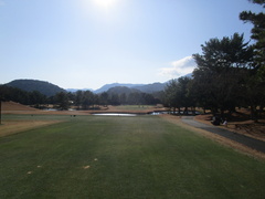 茜ゴルフクラブ 14 /