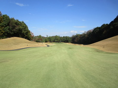 茜ゴルフクラブ 21 /