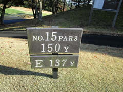 茜ゴルフクラブ 31 /