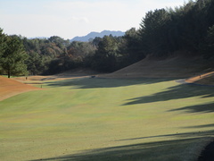 茜ゴルフクラブ 37 /