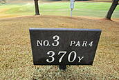 茜ゴルフクラブ NO3 ホール-1
