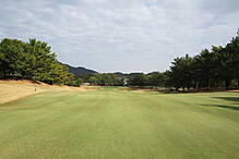 茜ゴルフクラブ NO9 ホール-4