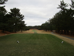 玄海ゴルフクラブ 14 /