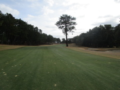 玄海ゴルフクラブ 1 /