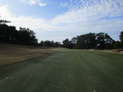 玄海ゴルフクラブ 45 /