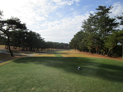 玄海ゴルフクラブ 50 /