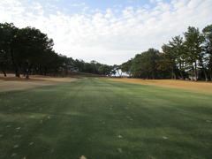 玄海ゴルフクラブ 51 /