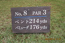 古賀ゴルフ・クラブ NO8 ホール-1