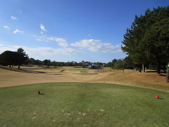 ザ・クイーンズヒルゴルフクラブ 14 /