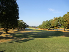 ザ・クイーンズヒルゴルフクラブ 50 /