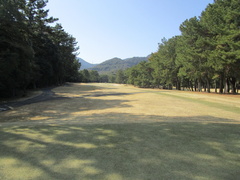 門司ゴルフ倶楽部 38 /