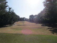 門司ゴルフ倶楽部 8 /