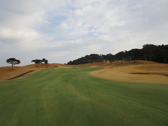 青島ゴルフ倶楽部 11 /