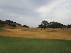 青島ゴルフ倶楽部 20 /