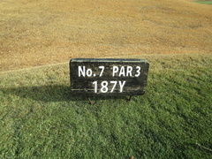 青島ゴルフ倶楽部 37 /