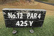 青島ゴルフ倶楽部 NO12 ホール-1