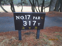 宮崎カントリークラブ 43 /