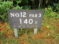 宮崎カントリークラブ 13 /