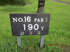 宮崎カントリークラブ 37 /