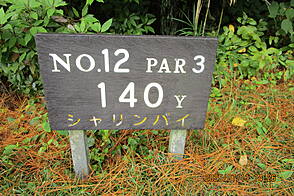 宮崎カントリークラブ NO12 ホール-1