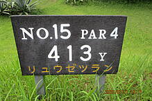宮崎カントリークラブ NO15 ホール-1