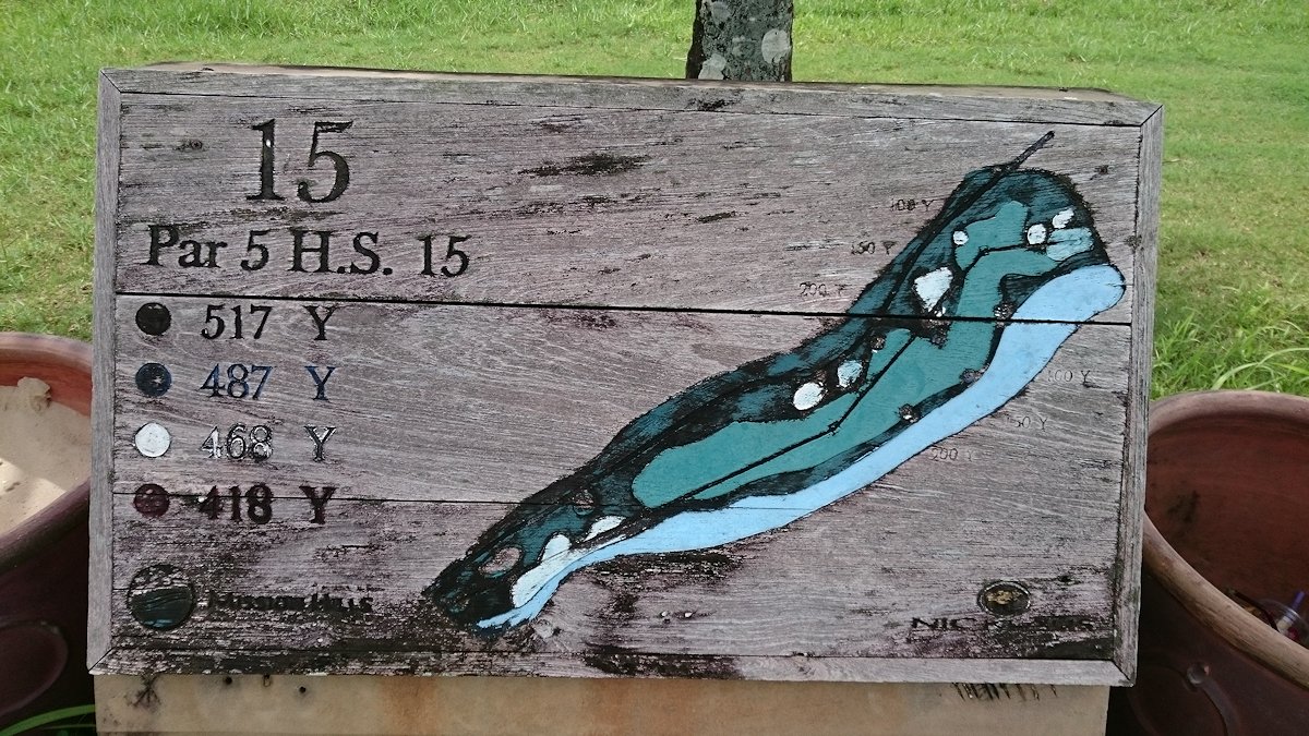 Hole15