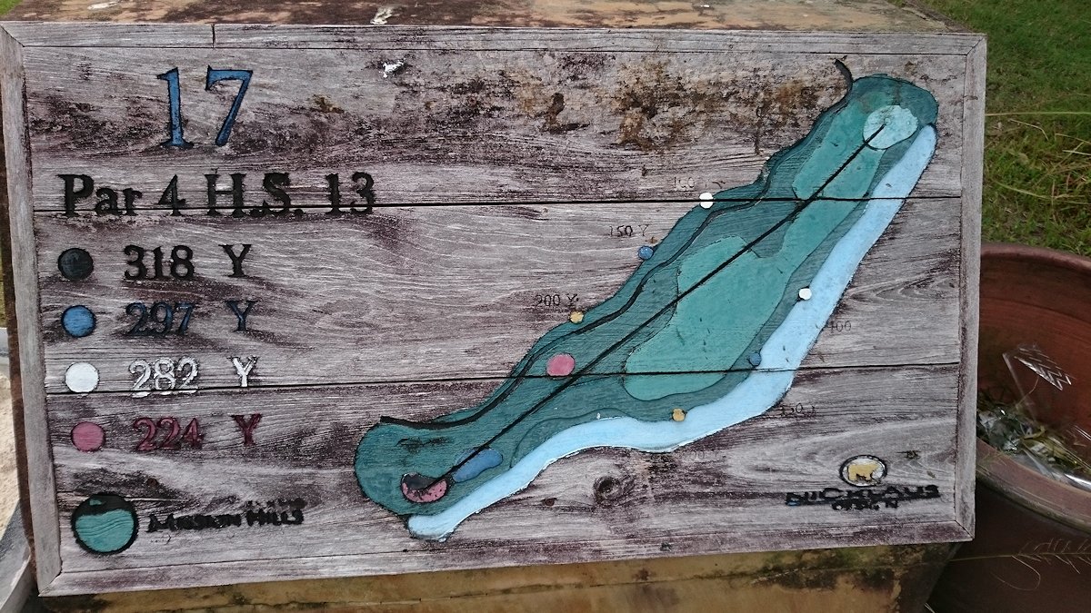 Hole17